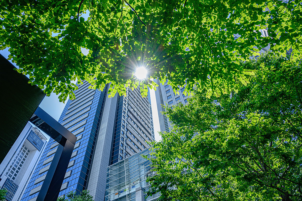 Base Building Management Systems